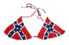 confederate_flag_bikini__69329.1409402404.1280.1280.jpg