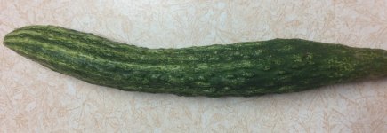 Cuke .jpg