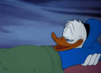 donald-duck boner.gif