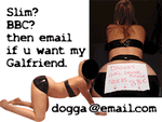 dogga-advert.gif