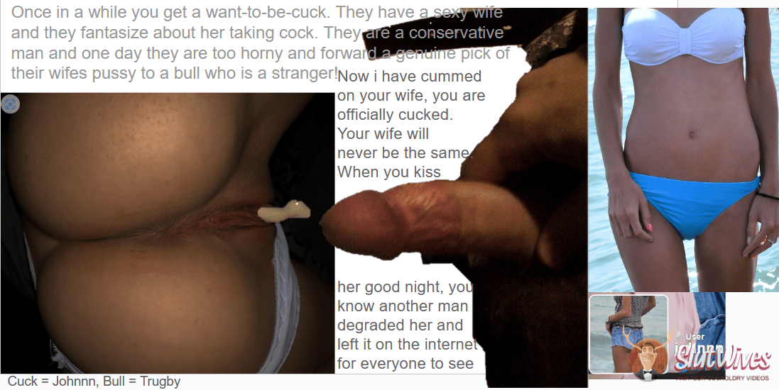 cuck and bull9.PNG