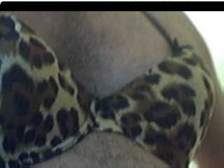 Leopard bra