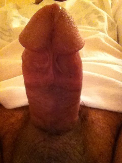 My White Cock